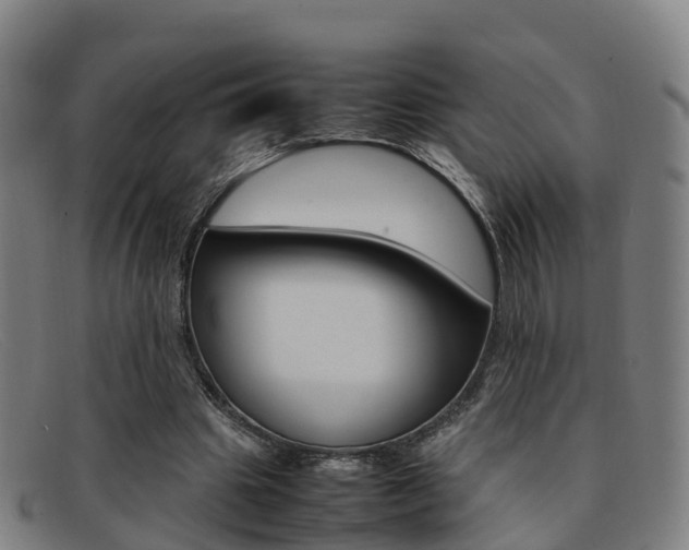 X0000092070441200709121029