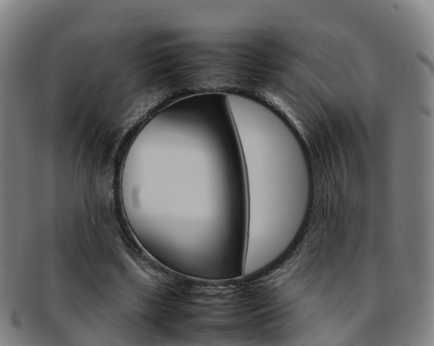 X0000092070443200709121029