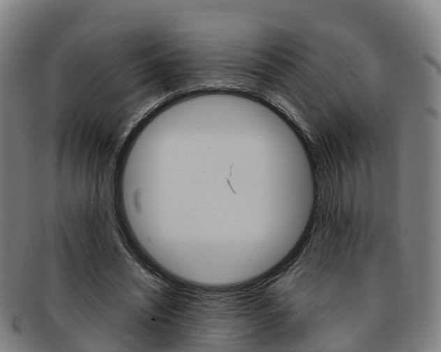 X0000092070444200709121029