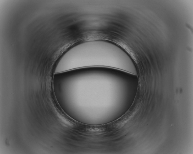 X0000092070445200709121029