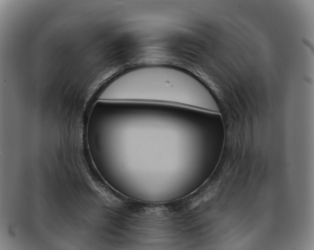 X0000092070446200709121029