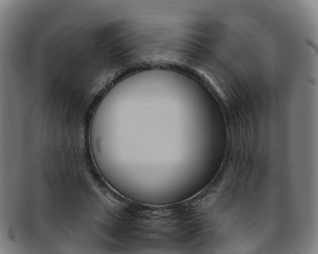 X0000092070447200709121029