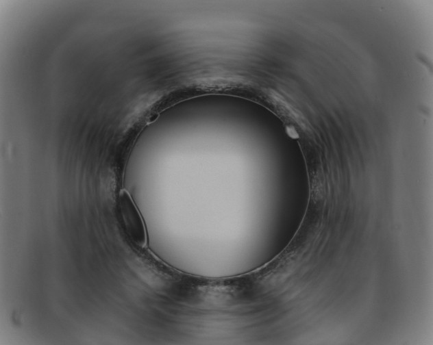 X0000092070448200709121029