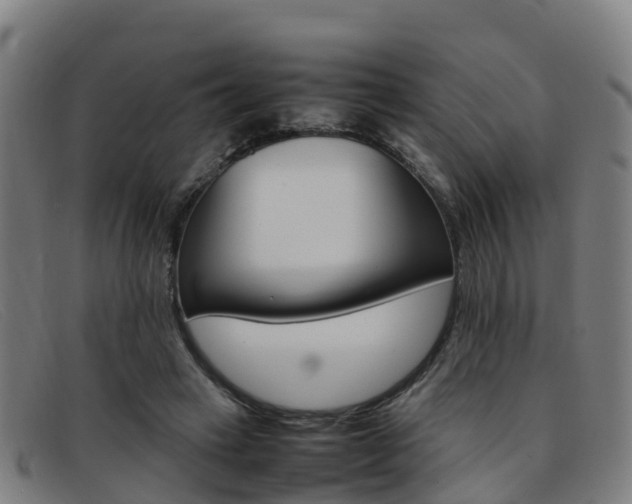 X0000092070449200709121029
