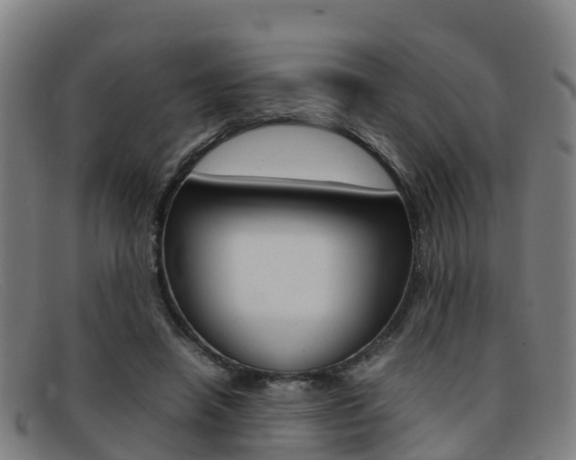 X0000092070450200709121029