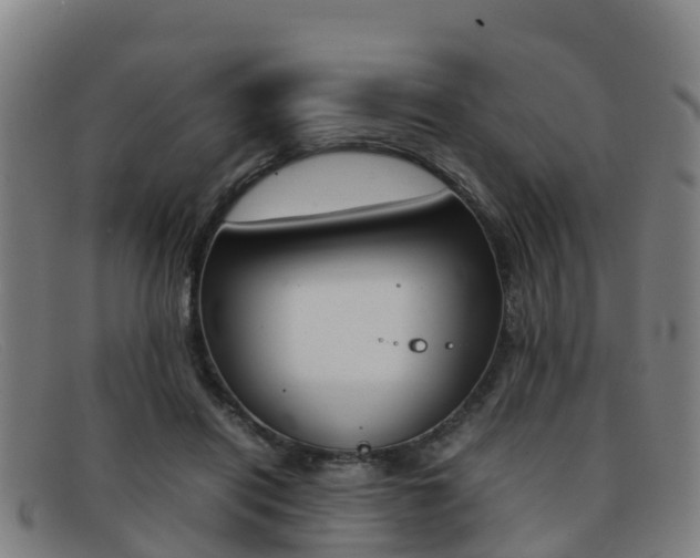 X0000092070454200709121029