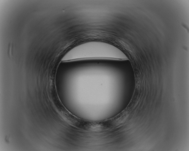 X0000092070456200709121029
