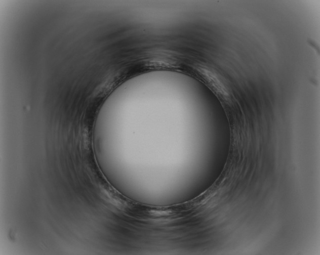 X0000092070457200709121029