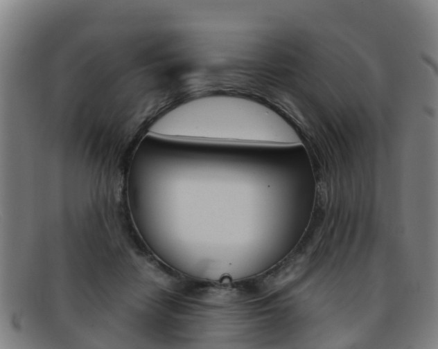 X0000092070458200709121029
