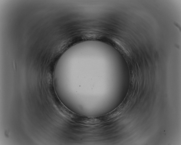 X0000092070459200709121029