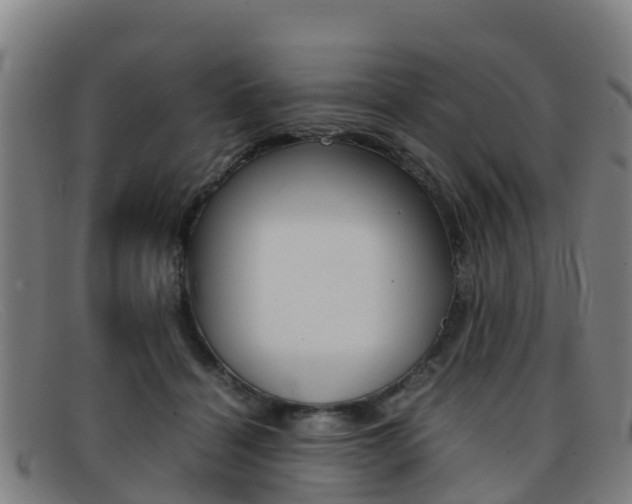 X0000092070460200709121029