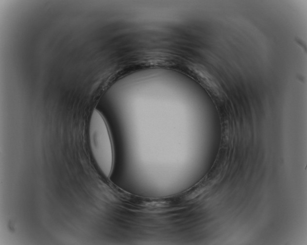 X0000092070461200709121029