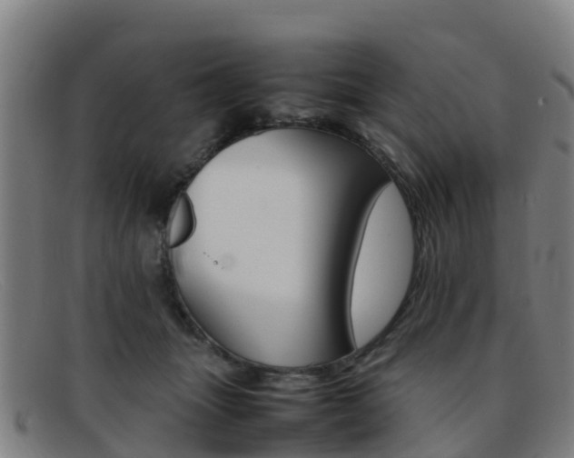 X0000092070463200709121029
