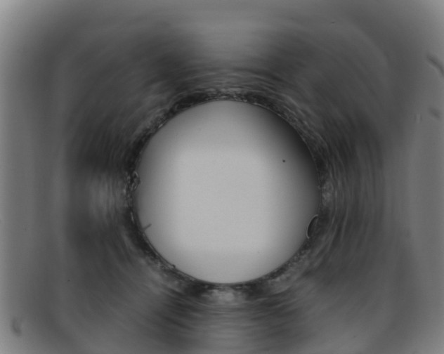 X0000092070464200709121029