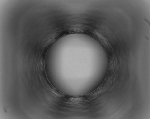 X0000092070465200709121029