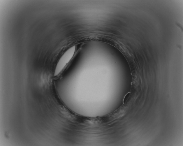 X0000092070466200709121029