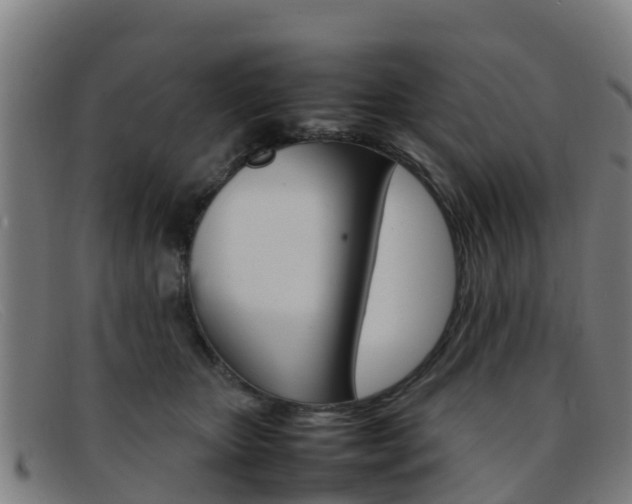 X0000092070467200709121029