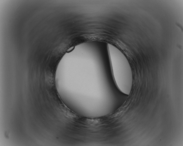 X0000092070469200709121029