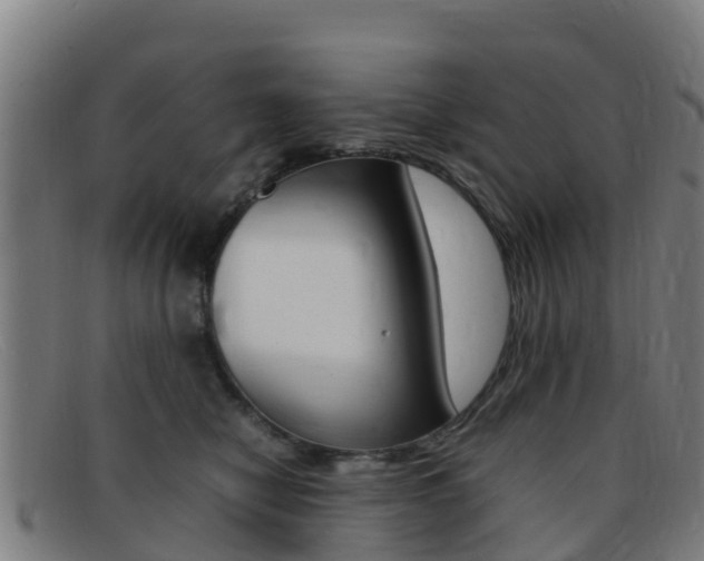 X0000092070470200709121029