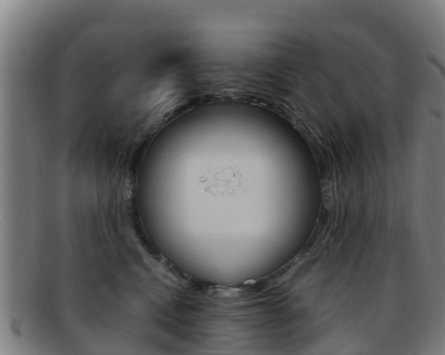 X0000092070472200709121029