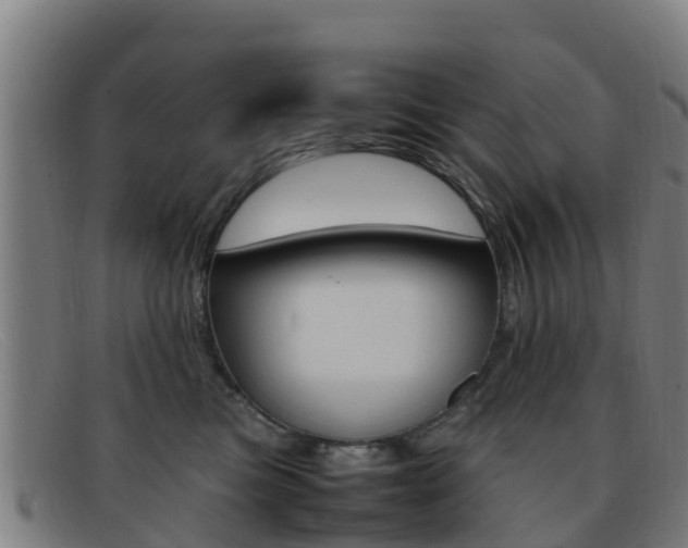 X0000092070473200709121029