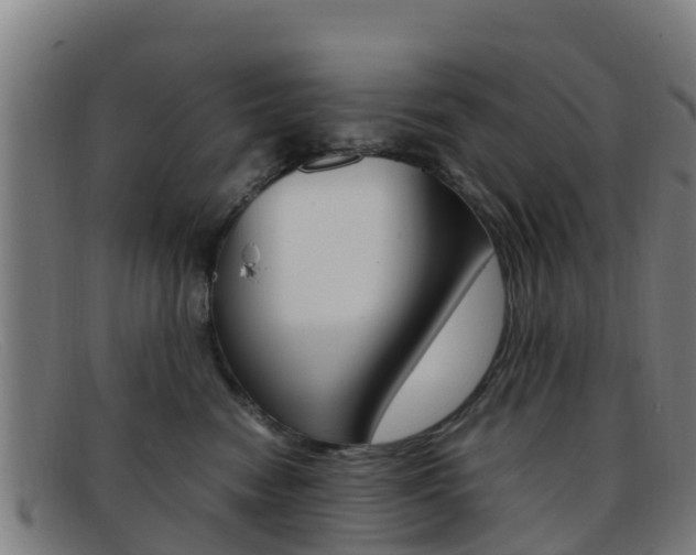 X0000092070474200709121029