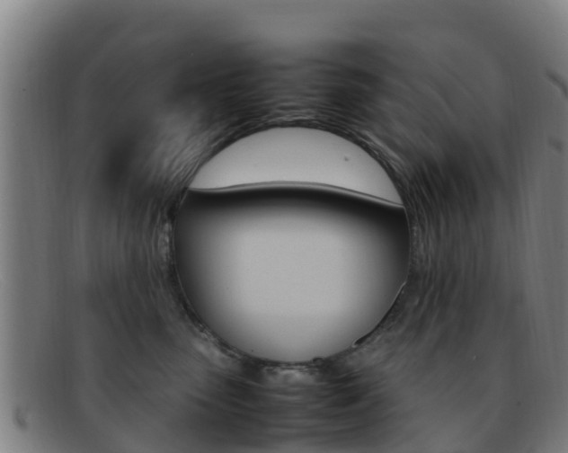 X0000092070475200709121029