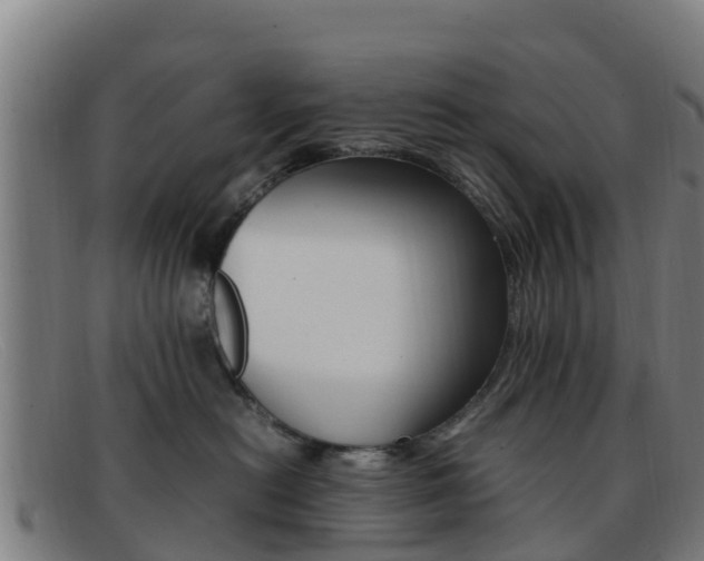 X0000092070478200709121029