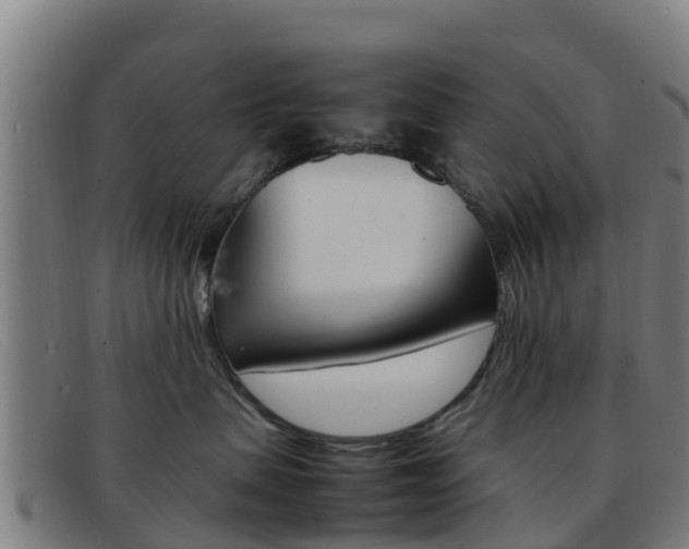 X0000092070479200709121029