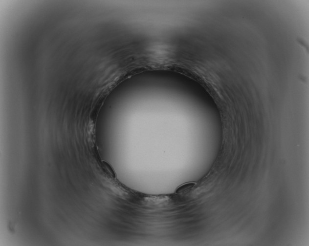 X0000092070480200709121029