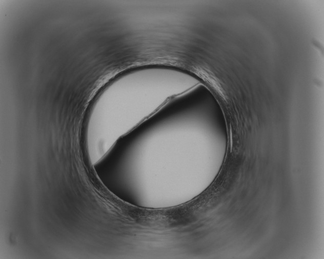 X0000092070483200709121029