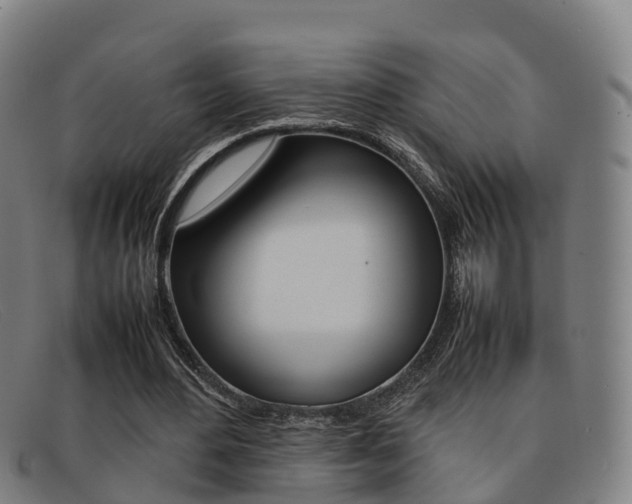 X0000092070484200709121029