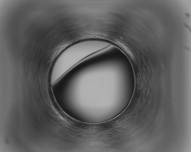 X0000092070485200709121029