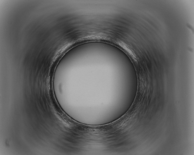 X0000092070486200709121028