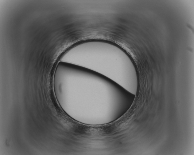 X0000092070487200709121028