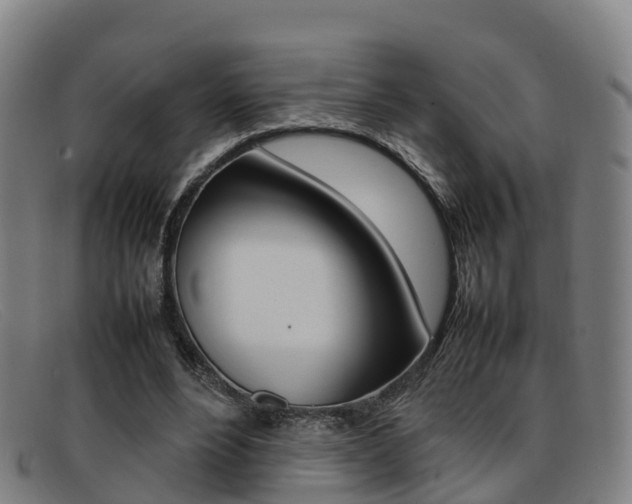 X0000092070488200709121028