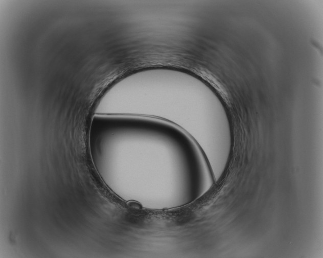 X0000092070489200709121028