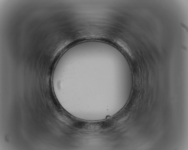 X0000092070491200709121028