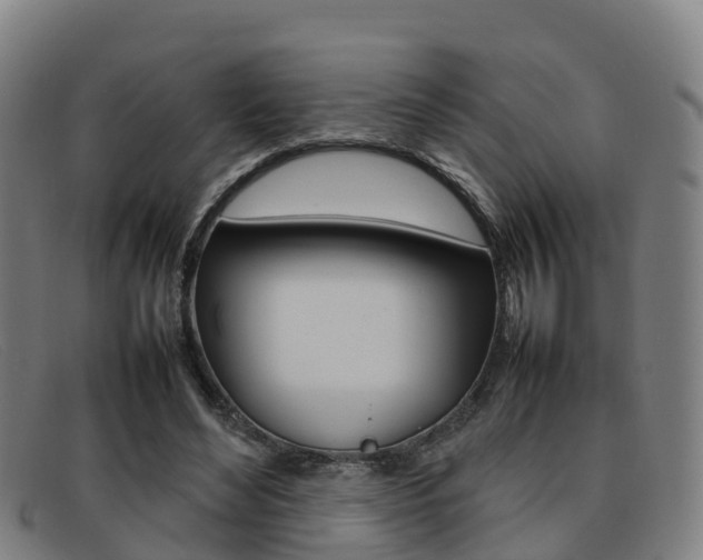 X0000092070492200709121028