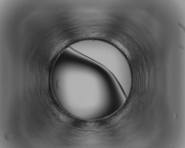 X0000092070493200709121028