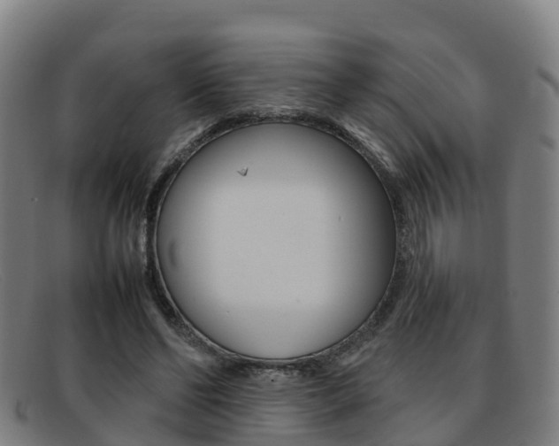 X0000092070494200709121028
