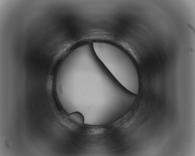 X0000092070495200709121028