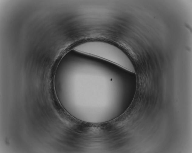X0000092070496200709121028
