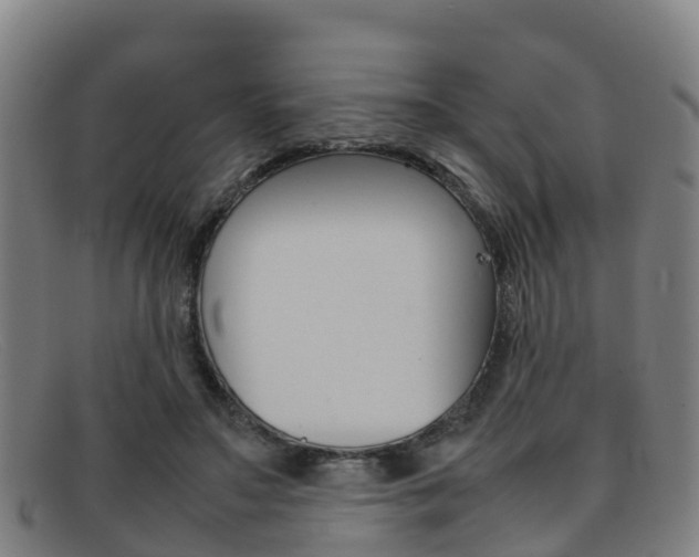 X0000092070499200709121028