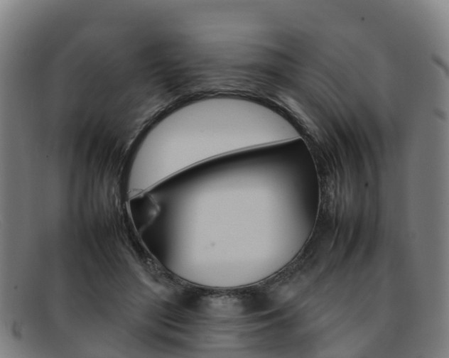 X0000092070500200709121028