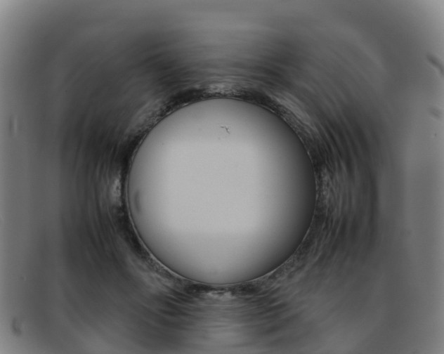 X0000092070502200709121028