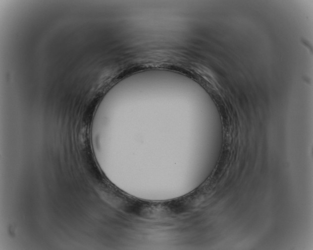 X0000092070503200709121028