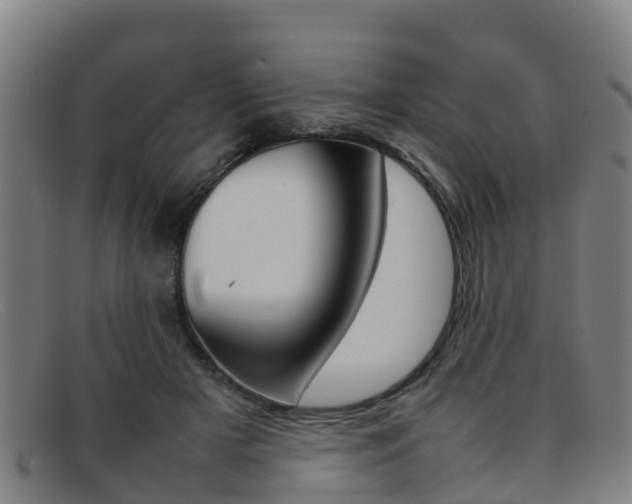 X0000092070505200709121028