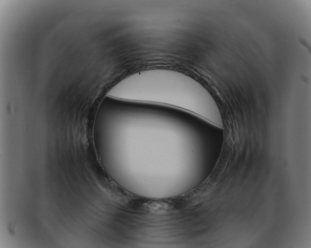 X0000092070512200709121028