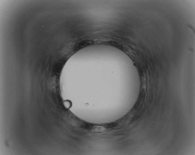 X0000092070519200709121028